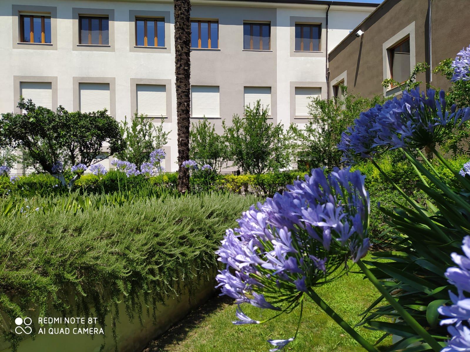 Hotel Il Cantico St. Peter Rome