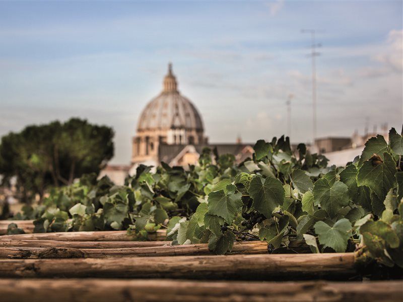 Il Cantico St. Peter Hotel Rome